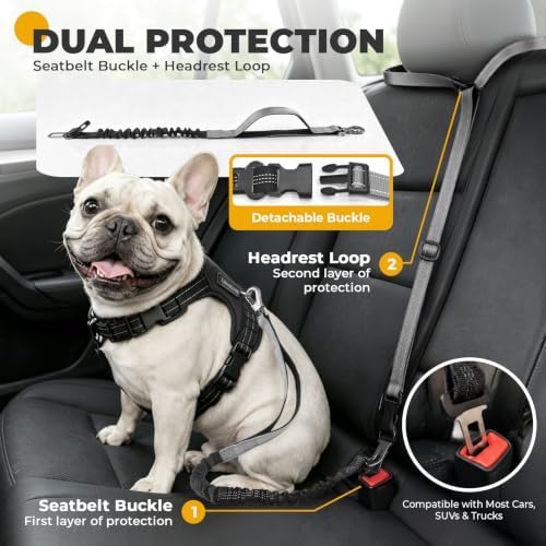 PETCARE 4 in 1 Hands Free Dog Leash with Car Seatbelt Buckle, Shock Absorbing Bungee Dog Waist Leash Belt for Running Walking Hiking, Dual Handles & Reflective, Adjustable for Small Medium Large Dogs - Image 7