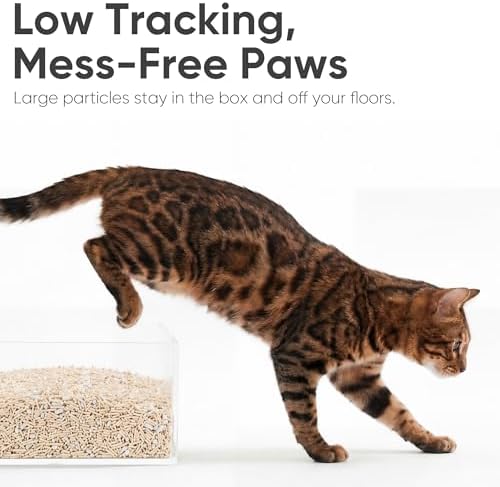 FUKUMARU Tofu Cat Litter, Applewood Blend, Clumping, Odor Control, 12 lb - Image 4