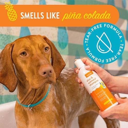 Everyday Aloe & Oatmeal Shampoo – Piña Colada Scent (16oz) | Nourishing Shampoo for Dogs and Cats Rich with Soothing Emollients | Alcohol-Free, Soapless & Tearless - Image 3