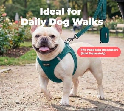 Best Pet Supplies Voyager Nylon Dog Leash - Blue, Medium - Image 3