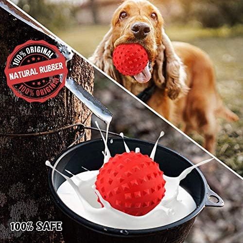 RHL Dog Squeaky Toys for Aggressive chewers Large Breed Balls Interactive Ball Toy Almost Indestructible Tough Durable Stick Medium Small Dogs Puppy Chew with Non-Toxic Natural Rubber - Image 5