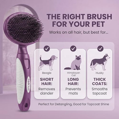 Round Bristle Pet Brush for Dogs and Cats - Soft Dog Brush for Grooming Short or Long Hair - Gentle Tool for Sensitive Skin Removes Dander, Dirt, and Detangles (Purple) - Image 4
