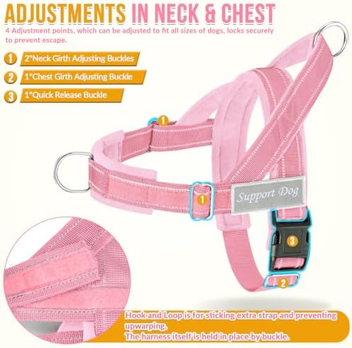 SlowTon No Pull Dog Harness and Leash Set - Heavy Duty, Soft Padded - Image 5