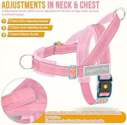 SlowTon No Pull Dog Harness and Leash Set - Heavy Duty, Soft Padded - Image 5