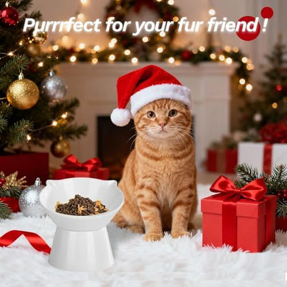 Detachable Elevated Cat Bowls, 15° Tilted Raised Cat Food Bowl Anti-Vomiting, Whisker Friendly, Adjustable Pet cat Dishes for Protecting Spine, Adult Kitten (White) - Image 2