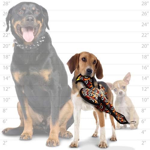 TUFFY - World's Tuffest Soft Dog Toy - Desert - Multiple Layers. Made Durable, Strong & Tough. Interactive Play (Tug, Toss & Fetch). Machine Washable & Floats (Vulture, Large 2 Pack)