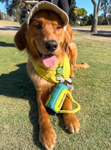 PUPROAR Golf Dog Toy, Dog Birthday Gift, Funny Squeaky Plush Rope Golf Bag Toy for Small, Medium & Large Breeds - Image 4
