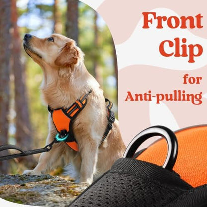 rabbitgoo Dog Harness for Large, Updated Easy On & Off with 3 Buckles - Image 6