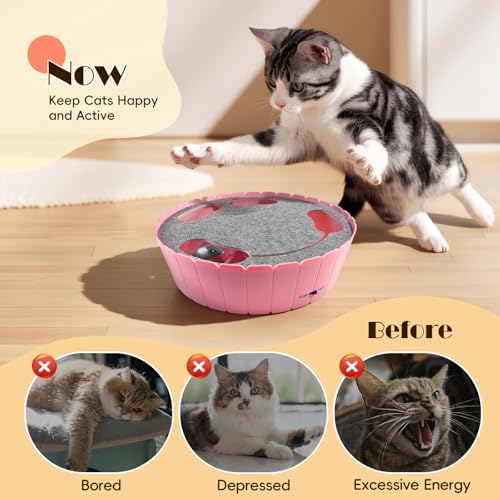 Pawaboo Interactive Cat Toy with Running Mouse, Automatic Track Kitten Toy - Image 3