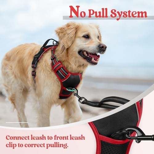 rabbitgoo Dog Harness, No Pull for Large Dogs with 2 Leash Clips, Pet Vest - Image 5