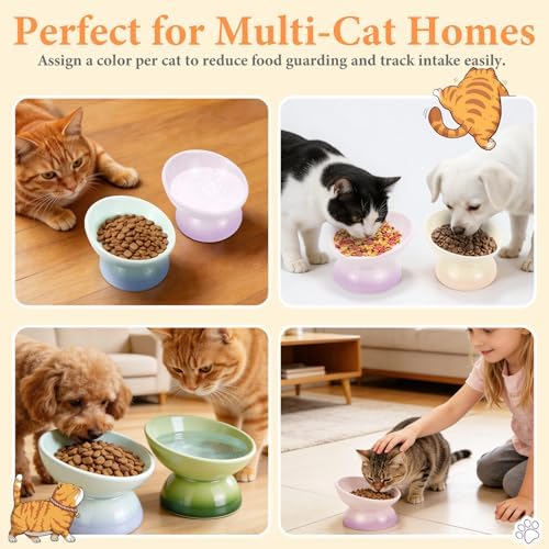 Elevated Cat Food Bowl 4 Pack 5 Oz Ceramic Raised Tilted Water Dishes, 15° Tilt Anti Vomiting, Protect Pets' Spines Bowls for Small Dog, Fat Faced Cat, Kitten - Image 7