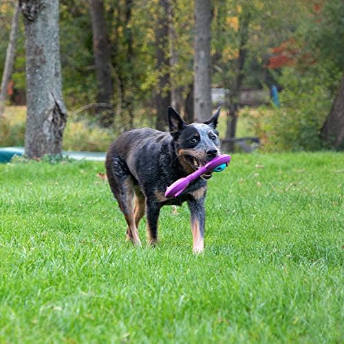 Chew King Premium Throw Stick Dog Toy - Durable Natural Rubber Collection, Fetch and Tug Dog Toy, Pet Treat Toys for Boredom - Image 6
