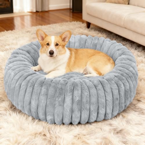 Washable Small Cat Dog Bed,Puppy Bed Cat Beds for Indoor Cats(Grey,M) by Unknown