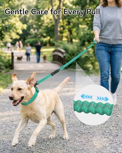 Joytale Tactical Bungee Dog Leash, Shock Absorbing No Pull, Teal - Image 3