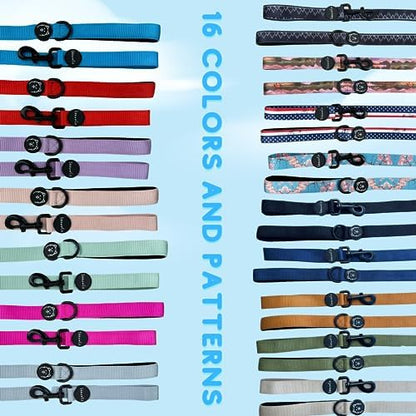 ShawnCo Dream Walk Dog Leash (Driftwood,Medium/Large) - Image 5