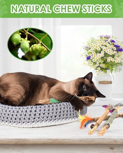 TINDTOP Catnip Chew Toys for Cats, 4 Pack Natural Silvervine Sticks for Kittens Teeth Cleaning, Matatabi Dental Care, Increase Appetite, Aggressive Chewers Cat Dental Toy - Image 5