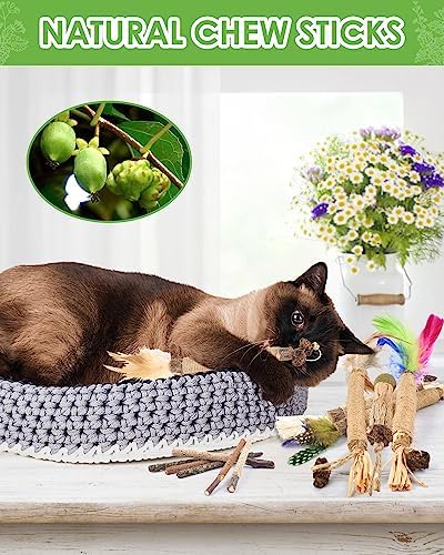 TINDTOP Silvervine Chew Sticks for Cats, 12 Pack Natural Catnip Chew Toys - Image 6