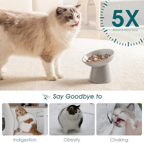 vancasso Ceramic Slow Feeder Cat Bowl, 6.25 Inch Elevated Cat Slow Feeder Bowl, Anti Vomiting for Dry and Wet Food, Grey - Image 4