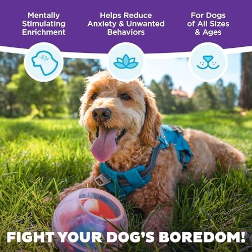 Outward Hound by Nina Ottosson Topsy Treat Ball Dog Puzzle, Level 1 Beginner, Orange - Image 3