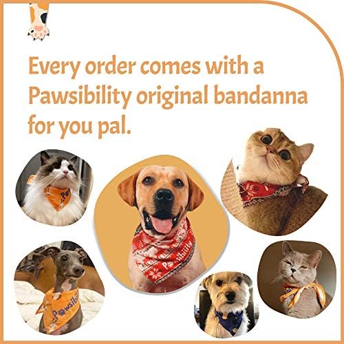 Pawsibility - Reinvented Pet Nail Clippers for Your Pal - USB Rechargeable LED Light for Bloodline | Razor Sharp and Durable Blade | Vets Recommended Trimming Tool for Dogs and Cats - Image 6