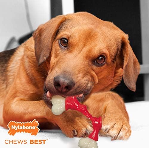 Nylabone Power Chew Double Bone Dog Chew Toy, Bacon Flavor, Medium - Image 4