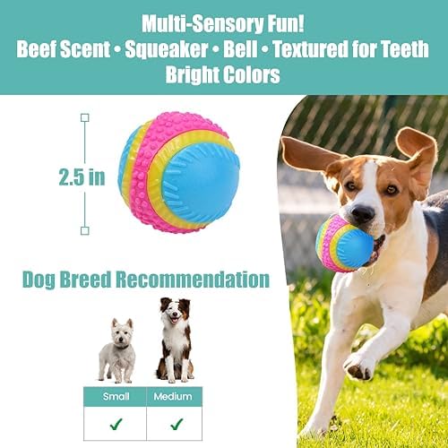 SPOT Sensory Ball for Soft Chewers - Stimulates All 5 Senses, Bell & Squeaker Sounds, Raised Nubs Clean Teeth, High Contrast Fetch Toy, Beef Scented, Durable TPR Rubber Ball, 2.5-inch - Image 2