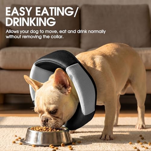 Dog Cone Soft Cone for Dogs to Stop Licking - Image 5