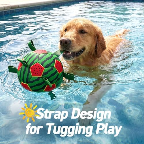 QDAN Dog Water Pool Toys: Dog Soccer Ball with Straps, Waterproof Dog Balls Swimming Beach Balls for Summer Outdoor Games (6 Inch) - Image 5
