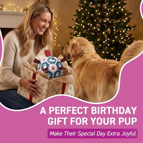 QDAN Large Dog Soccer Ball with Straps, 9 Inch Big Balls for >90 lbs Dogs - Image 4