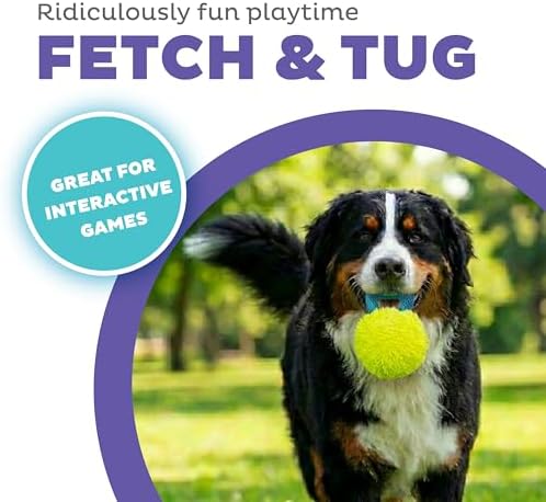 Outward Hound FlyFetch Giggle Ball Dog Toy, Giggles & Squeaks, Handle for Tug & Fetch, Lightweight, Multiple Textures, All Breeds, 7.3" - Image 2