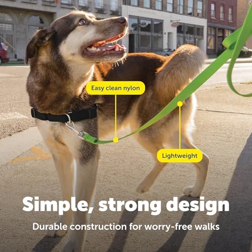 PetSafe Nylon Dog Leash - Strong, Durable, Traditional Style Leash with Easy to Use Bolt Snap - 3/4 in. x 6 ft., Apple Green - Image 4