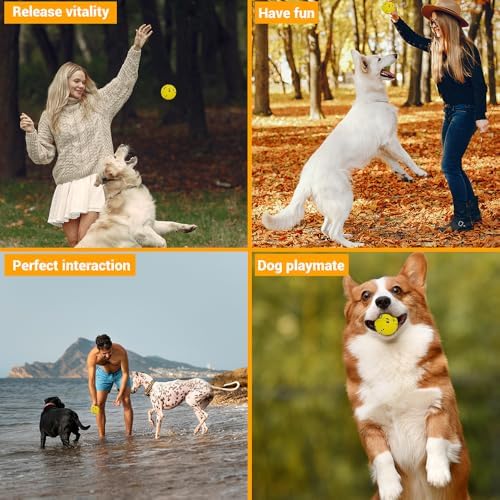 Dog Balls Toys for Aggressive Chewers(2 Pack) - Image 6