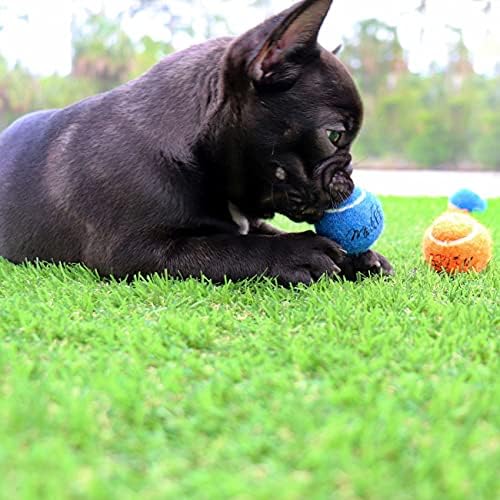 Midlee Mini 1.5" Dog Tennis Balls with Squeaker, Set of 12 - Image 4
