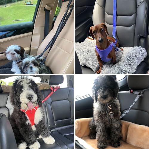 BWOGUE Dog Seat Belt for Car, Headrest Restraint Bungee Lead, Purple - Image 7