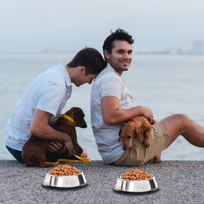 10 Pcs Stainless Steel Dog Bowl Pet Feeding Bowl with Rubber Base Non-Slip Pet Dishes Metal Dog Bowls Pet Food and Water Bowls for Small Medium Animals Kitten Rabbit (18.6 oz) - Image 5