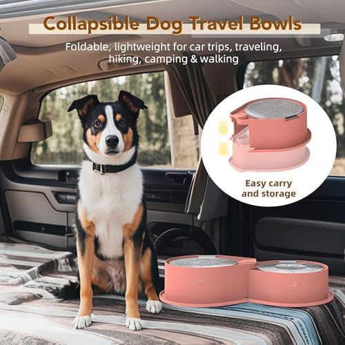 Newget 304 Stainless Steel Dog Bowl Set with Lids, 24oz Foldable Pet Dishes - Image 5