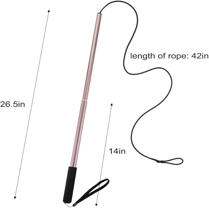 GoodsBeauty Flirt Pole for Dogs - Extendable Flirt Pole with 2pcs Fleece Lure Tugs for Dog Outdoor Entertainment, Train and Exercise, New Coffee
