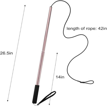 GoodsBeauty Flirt Pole for Dogs - Extendable Flirt Pole with 2pcs Fleece Lure Tugs for Dog Outdoor Entertainment, Train and Exercise, New Coffee