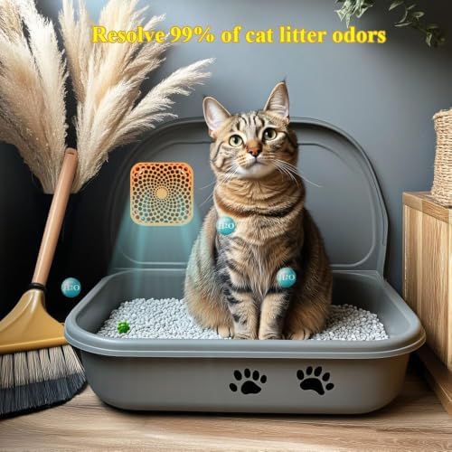 Cat Litter Deodorizer, Pet Odor Eliminator for Litter Box (2 Pack） - Image 2
