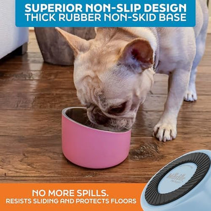 Master Pet Supply Stainless Steel Slanted Dog Cat Food Bowl 8 oz Glacier - Image 5