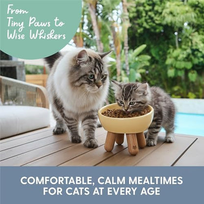 The Cat Ladies Tilted Ceramic Cat Bowl - Elevated Food Bowls Ceramic Pet Bowl - Raised Ceramics Bowls - Elevated & Tilted Design for Comfortable Eating - Dishwasher Safe - Wide Opening - Image 6