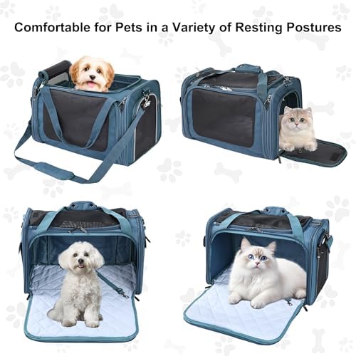 EliteField Deluxe Soft Pet Carrier for Cats and Dogs (3-Year Warranty) - Image 2