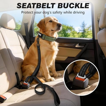 Double Handle Dog Leash with Poop Bag Holder and Car Seat Belt Buckle - Image 4