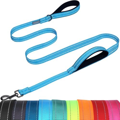VIVAGLORY Double Handle Dog Leash Twingrip, 5ft x 1in, Blue by VIVAGLORY