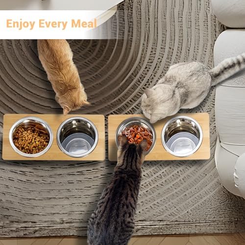 Elevated Cat Bowl, 2 PCS 15°Tilted Cat Bowl Stand with 2 Stainless Steel Bowls for Indoor Cats and Pet, Raised Cats Bowls for Food and Water - Image 4