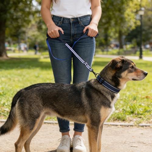 Reflective Double Handle Dog Leash for Large Medium Small Dogs (RB, L) - Image 6