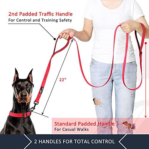Plutus Pet Double Handle Dog Leash, 5 FT Long, for Medium Large Dogs - Image 2