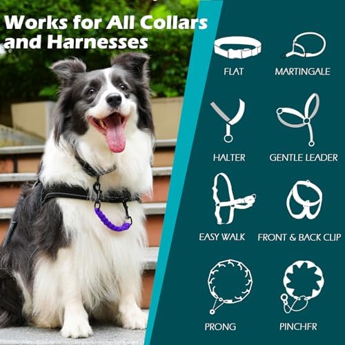 PetBonus Dog Collar Safety Clip, Handmade Prong Collar to Harness Connector - Image 3