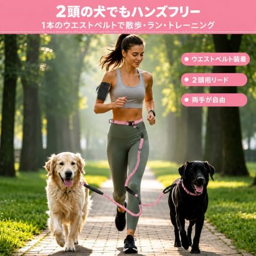 Hands Free Double Dog Leash, 4 Reflective Padded Handles, Adjustable Waist Belt 27-51", Shock-Absorbing Bungee, 360° Swivel Clips, for Small, Medium & Large Dogs, Walking Jogging Running - Image 2