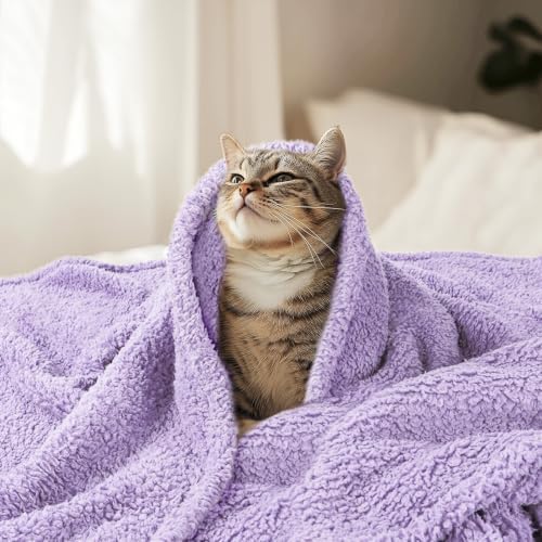 Luciphia Ultra Soft Sherpa Fleece Dog Puppy Cat Blanket for Small Pets - Image 3
